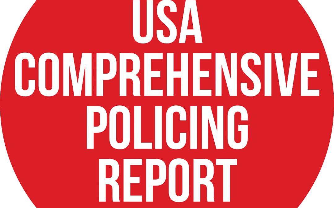 BrandPDQ USA Comprehensive Policing Report